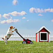 Dog Mowing Lawn Near Dog House Art Print