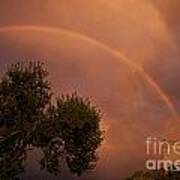 Double Red Rainbow With Tree In Jerome Art Print