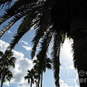 Dramatic Palm Art Print