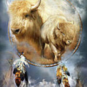 Dream Catcher - Spirit Of The White Buffalo Art Print