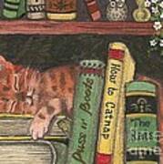 Dreaming In The Library Art Print