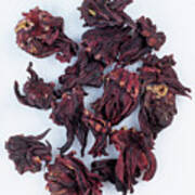 Dried Hibiscus Flowers For Infusions Art Print