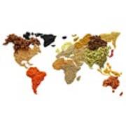 Dried Spices In World Map Shape Art Print