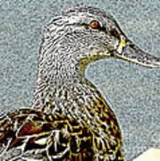 Duck Art Tribal Mallard Ii Art Print