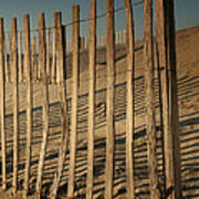 Dune Fences Early Morning Ii Art Print