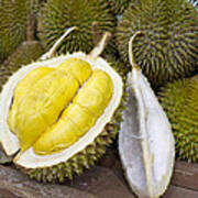 Durian 2 Art Print