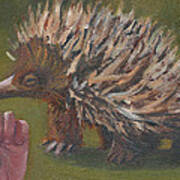 E Is For Echidna Art Print