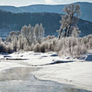 Early Morning, Yampa River, Steamboat Art Print