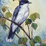 Eastern Kingbird Art Print