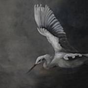 Egret In Flight Art Print