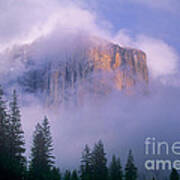 El Capitan In Fog Yosemite National Park California Art Print