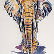 Elephant In Gold Art Print