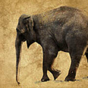 Elephant Walk Ii Art Print