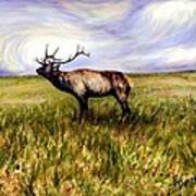 Elk At Dusk Art Print