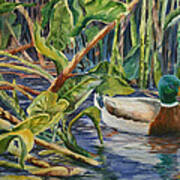 Environmentally Sound - Mallard Duck Art Print