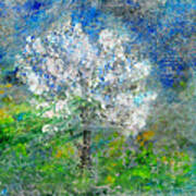 Ethereal Almond Tree Art Print