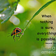 Everything Is Possible Art Print