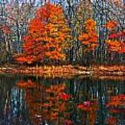 Fall Colors On Small Pond Art Print