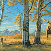 Fall Landscape - Moose Art Print