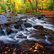 Fall On Fountain Creek Art Print