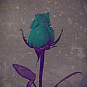 Fantasy Flower Teal And Purple Rose Bud Art Art Print