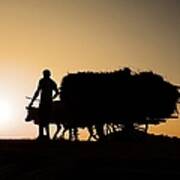 Farmer With His Harvest At Sunset Art Print