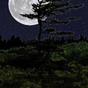 Favorite Tree In Full Moon Silhouette Art Print