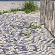 Fence And Shadow Art Print