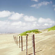 Fence At North-sea Beach With Dunes Art Print