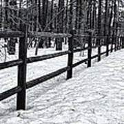 Fence In Winter 06 Art Print