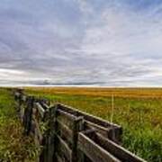 Fence Landscape Art Print