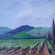 Ferrari Carano Vineyard Art Print