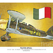 Fiat Falco C.r.42 Art Print