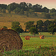 Field Of Hay Art Print