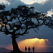 Fig Tree And Three Masai Men Silhouetted Art Print