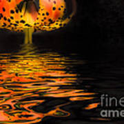 Fire Reflections Art Print
