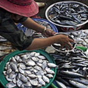 Fish Market In Vietnam Art Print