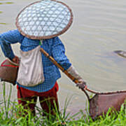 Fisherwomen In Rice Fields Art Print