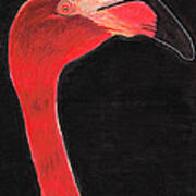 Flamingo Art By Sharon Cummings Art Print