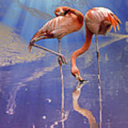 Flamingo Fantasy Lights Art Print