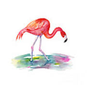 Flamingo Step Art Print