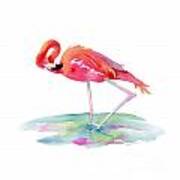 Flamingo View Art Print