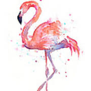 Flamingo Watercolor Art Print
