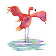 Flamingo Wings Art Print