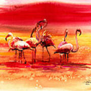 Flamingos Art Print