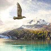 Flight Over Glacier Bay Art Print