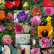 Flower Garden Bouquet Art Print