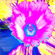Fluorescent Daffodil Art Print