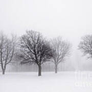 Foggy Park With Winter Trees Art Print