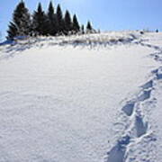 Footprints In The Snow Art Print